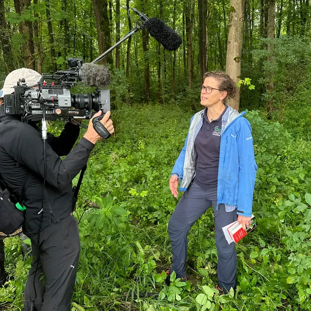 Dreharbeiten im Auwald